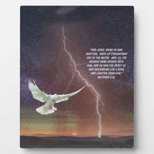 MATTHEW 3:16 FOTOPLATTE (Vorderseite)