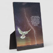 MATTHEW 3:16 FOTOPLATTE (Seite)