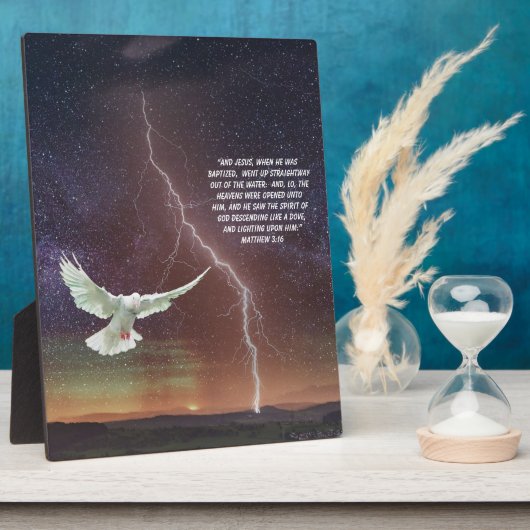 MATTHEW 3:16 FOTOPLATTE (Seite)