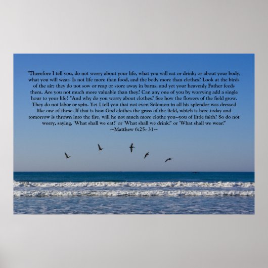 Matthew 6:25-31 Poster (Vorne)