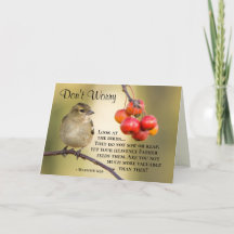 Matthew 6:26 Die Vögel säen oder ernten noch nicht