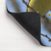 Matthew 6:26 Goldfinch Mousepad (Ecke)