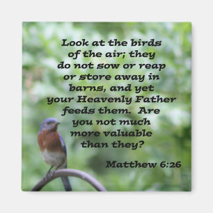 Matthew 6:26 magnet