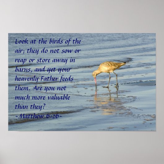 Matthew 6:26 Poster (Vorne)