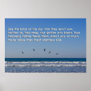 Matthew 6:26 poster