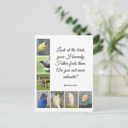 Matthew 6:26 Postkarte (Stehend Vorderseite)