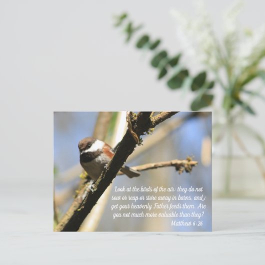 Matthew 6:26 Vogelheft Postkarte (Stehend Vorderseite)