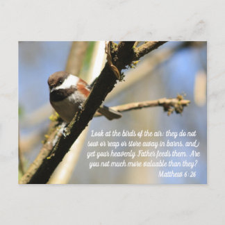Matthew 6:26 Vogelheft Postkarte