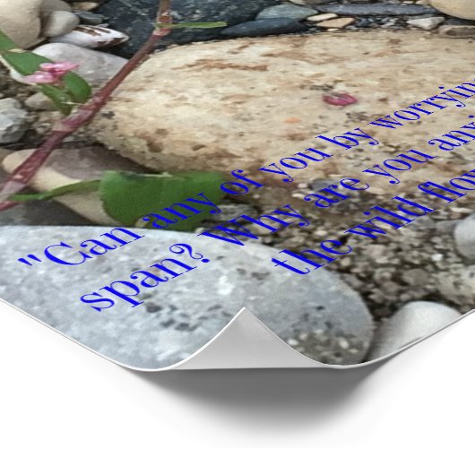 Matthew 6:27-28 Poster (Ecke)