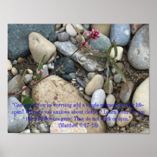 Matthew 6:27-28 Poster
