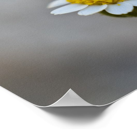 Matthew 6:27-29 Poster (Ecke)