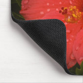 Matthew 6:28-29 Hibiskus Mousepad (Ecke)