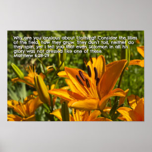 Matthew 6:28-29 poster
