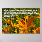 Matthew 6:28-29 poster (Vorne)