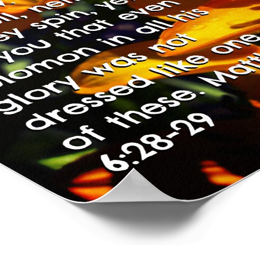Matthew 6:28-29 poster (Ecke)