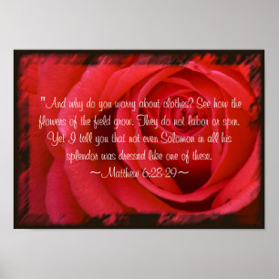 Matthew 6:28-29 Poster