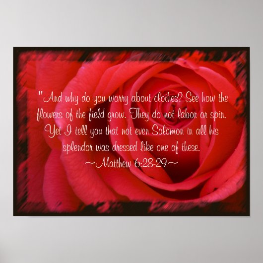 Matthew 6:28-29 Poster (Vorne)