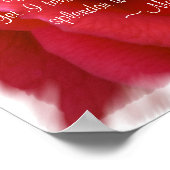 Matthew 6:28-29 Poster 2 (Ecke)