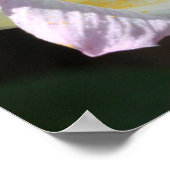 Matthew 6:28 & 29 Scripture Poster (Ecke)