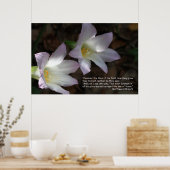 Matthew 6:28 & 29 Scripture Poster (Küche)