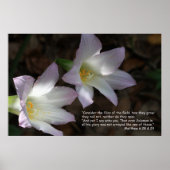 Matthew 6:28 & 29 Scripture Poster (Vorne)