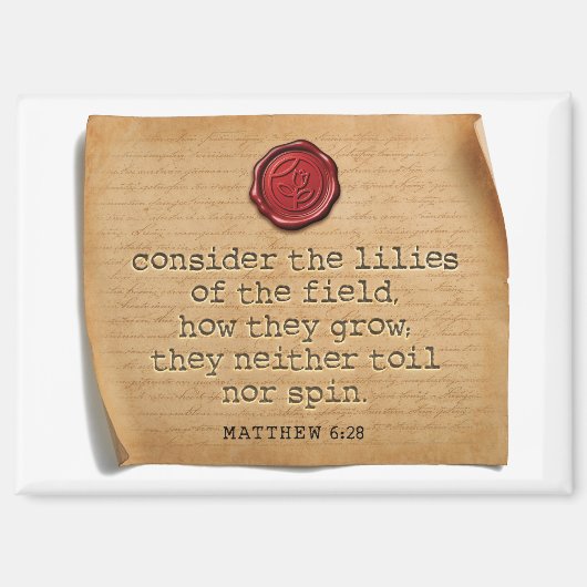 Matthew 6:28 Küchenmagnet Home Accent Magnet (Vorderseite)