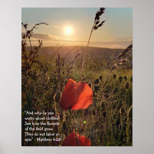 Matthew 6:28 Poppies bei Sonnenuntergang Poster (Vorne)