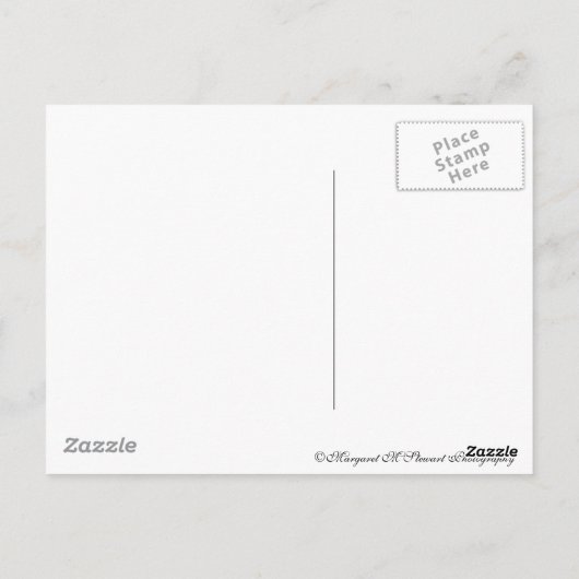 Matthew 6:34 postkarte (Rückseite)