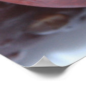 Matthew 7:19, 20 Scripture Poster (Ecke)