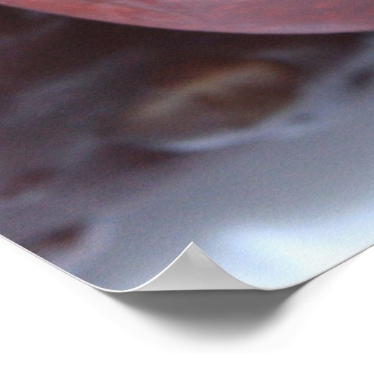 Matthew 7:19, 20 Scripture Poster (Ecke)