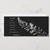 Matthew 7:7 (Vorderseite)