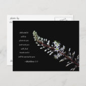 Matthew 7:7 weiße Blüte Postkarte (Vorne/Hinten)