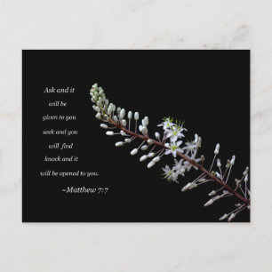 Matthew 7:7 weiße Blüte Postkarte
