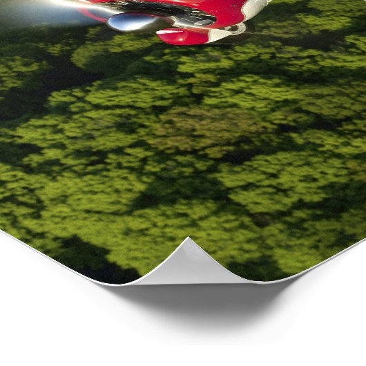 Matthew's 450 poster (Ecke)