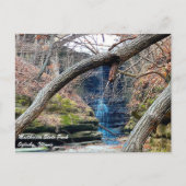 Matthiessen Illinois Staat Park Postkarte (Vorderseite)