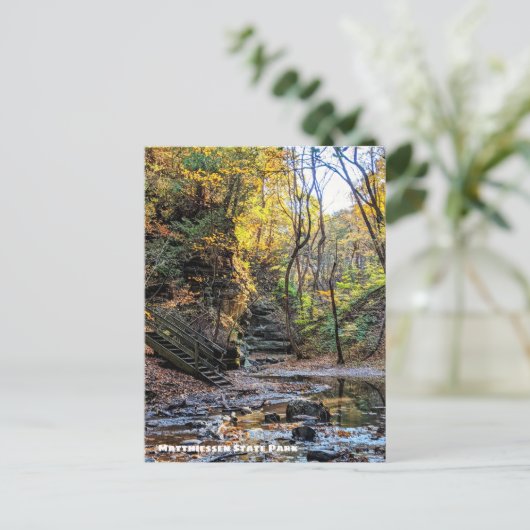 Matthiessen Staat Park, Utica Illinois Postcard Postkarte (Stehend Vorderseite)