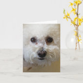 Mattie - Bichon Frise NoteCard Karte (Gelbe Blume)