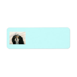 Mattie der König Charles Cavalier