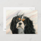 Mattie der König Charles Cavalier Spaniel Postkarte (Vorne/Hinten)
