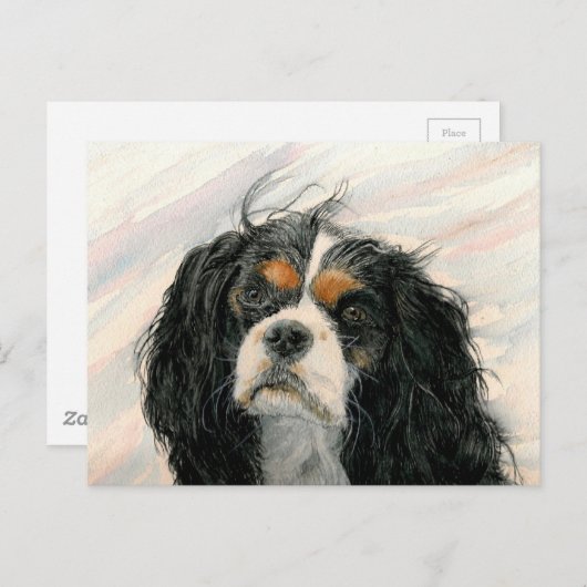 Mattie der König Charles Cavalier Spaniel Postkarte (Vorne/Hinten)