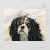 Mattie der König Charles Cavalier Spaniel Postkarte (Vorderseite)