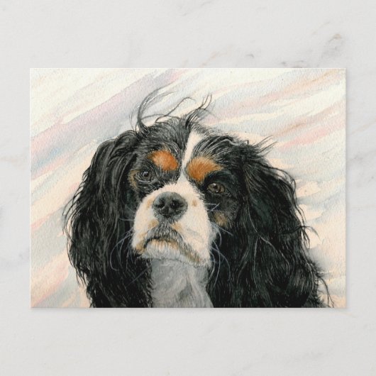 Mattie der König Charles Cavalier Spaniel Postkarte (Vorderseite)