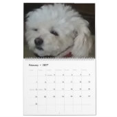 Mattie und Freunde Kalender (Feb 2027)