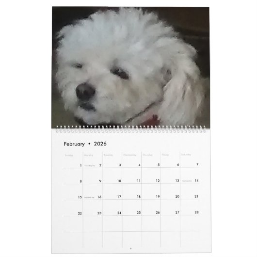 Mattie und Freunde Kalender (Feb 2026)