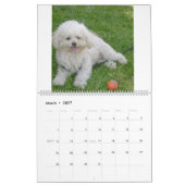 Mattie und Freunde Kalender (Mär 2027)