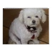 Mattie und Freunde Kalender (Titelbild)