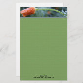 Mattiert Orange California Poppy Personalisiert Briefpapier (Vorne/Hinten)