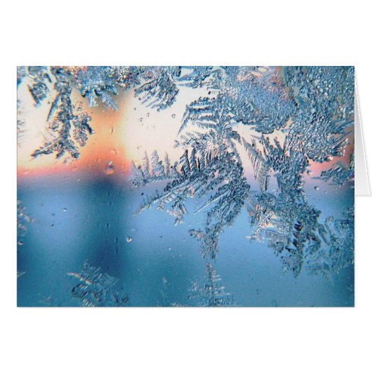 Mattierte Ansicht (Vorderseite (Horizontal))