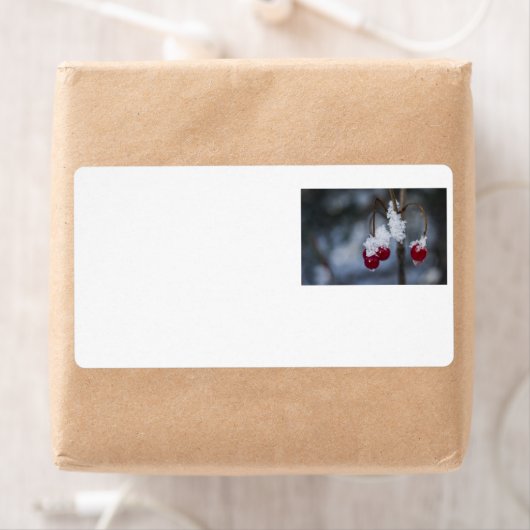 Mattierte Berries (Insitu)