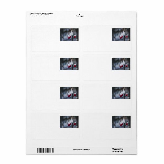 Mattierte Berries (Vorne)